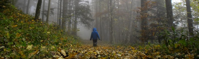 D hiking through misty forest