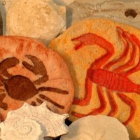 Homemade Play Dough Part 2: Making Fossils