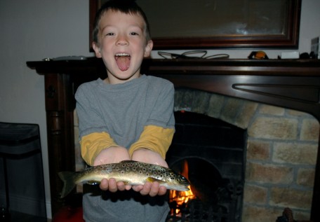 D with dinner brown trout