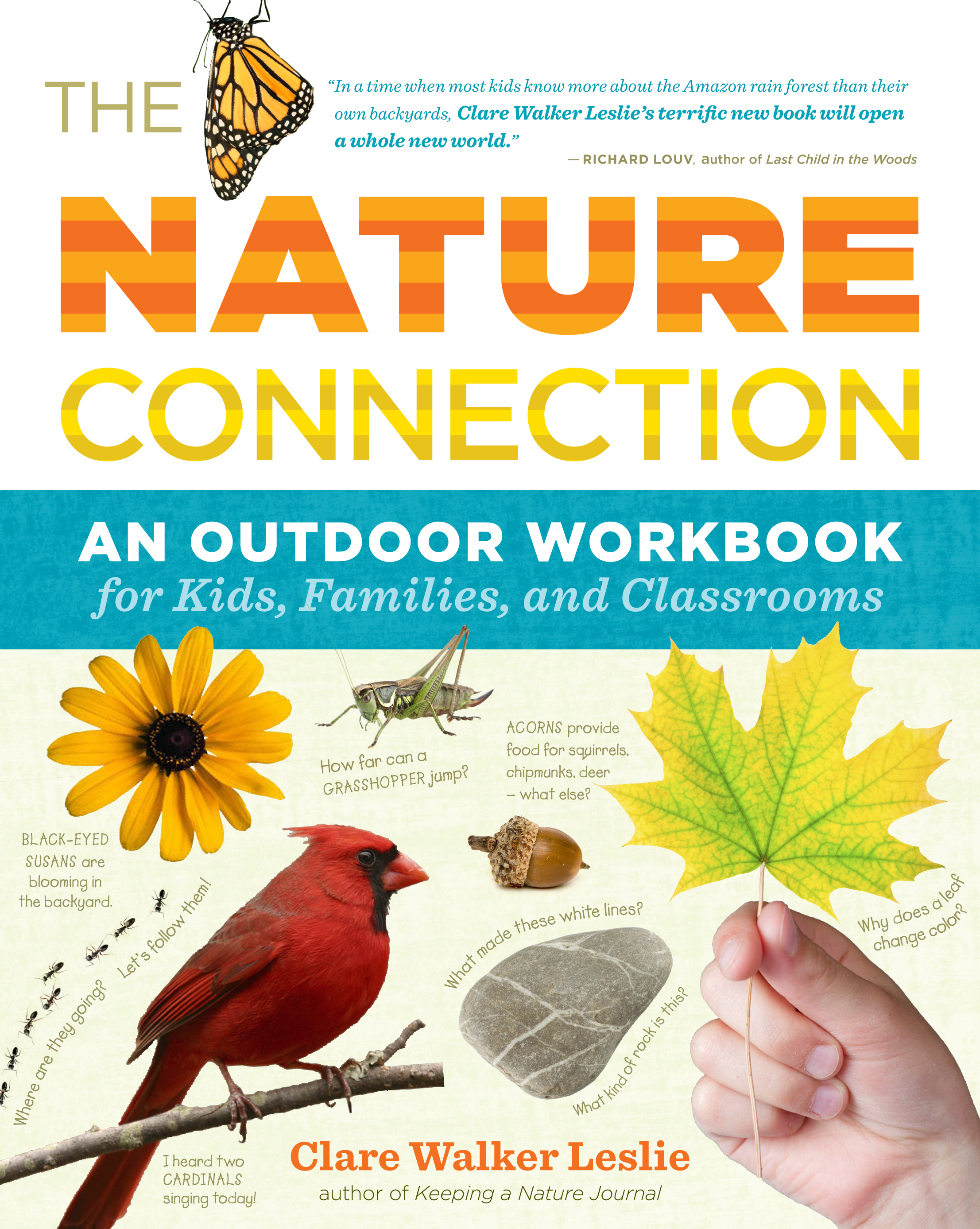 The Nature Connection A Book To Get Kids Into The