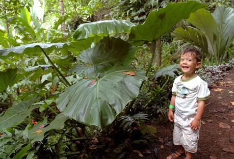 cheesy smile and big leaves